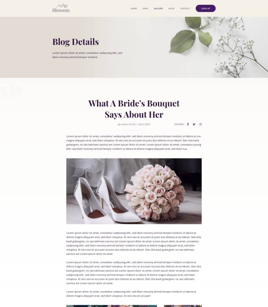 Templately - Blossom Blog Details Page Thumbnail