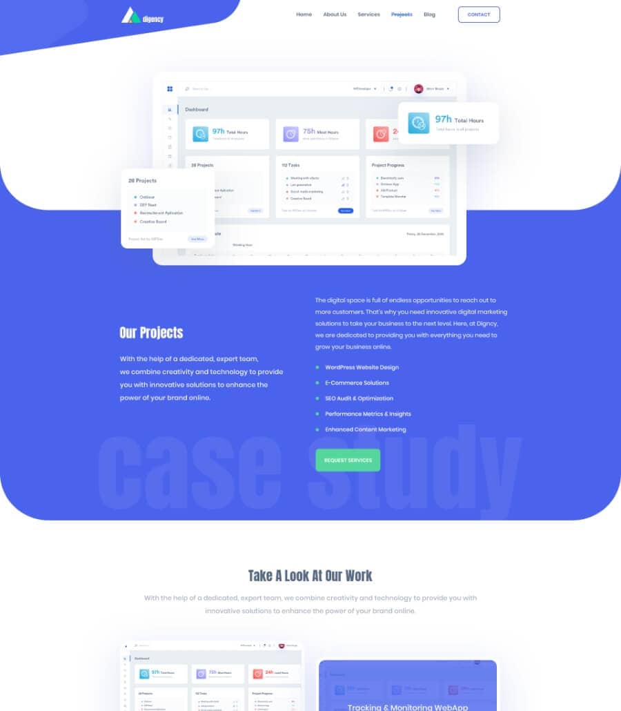 Templately - Digency Digital Marketing Agency Projects Page Thumbnail