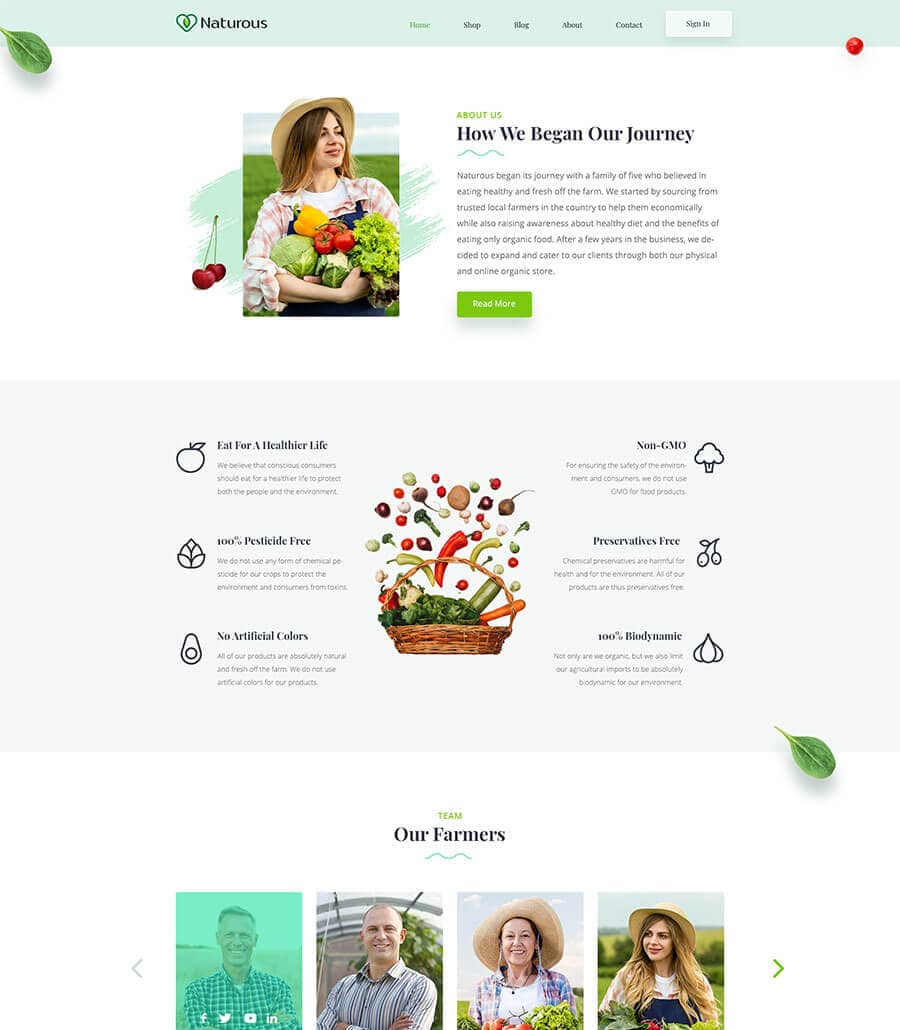 Templately - Naturous - WooCommerce  Template for Organic store Thumbnail 2