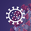 COVID19 – Coronavirus Outbreak Data