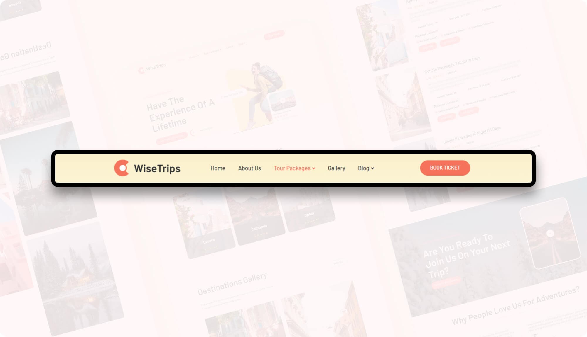 WiseTrips Header Banner