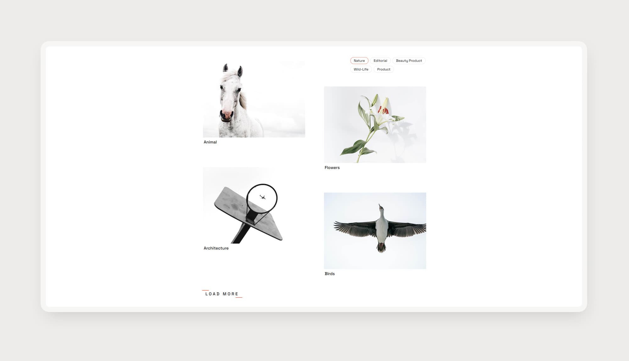 LensLy Gallery Section For Gutenberg By Templately