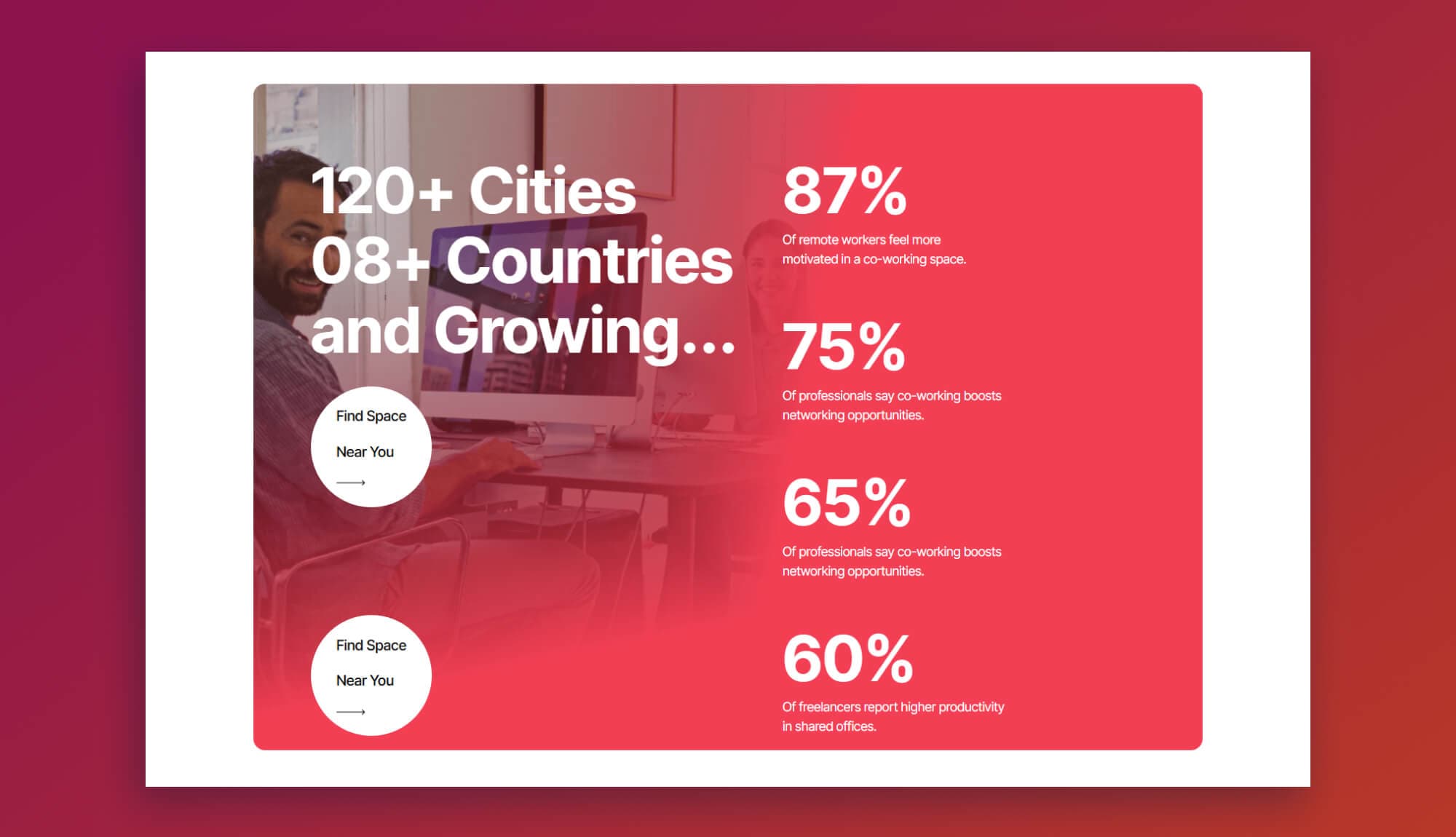Cobizz Hive Counter Section By Templately