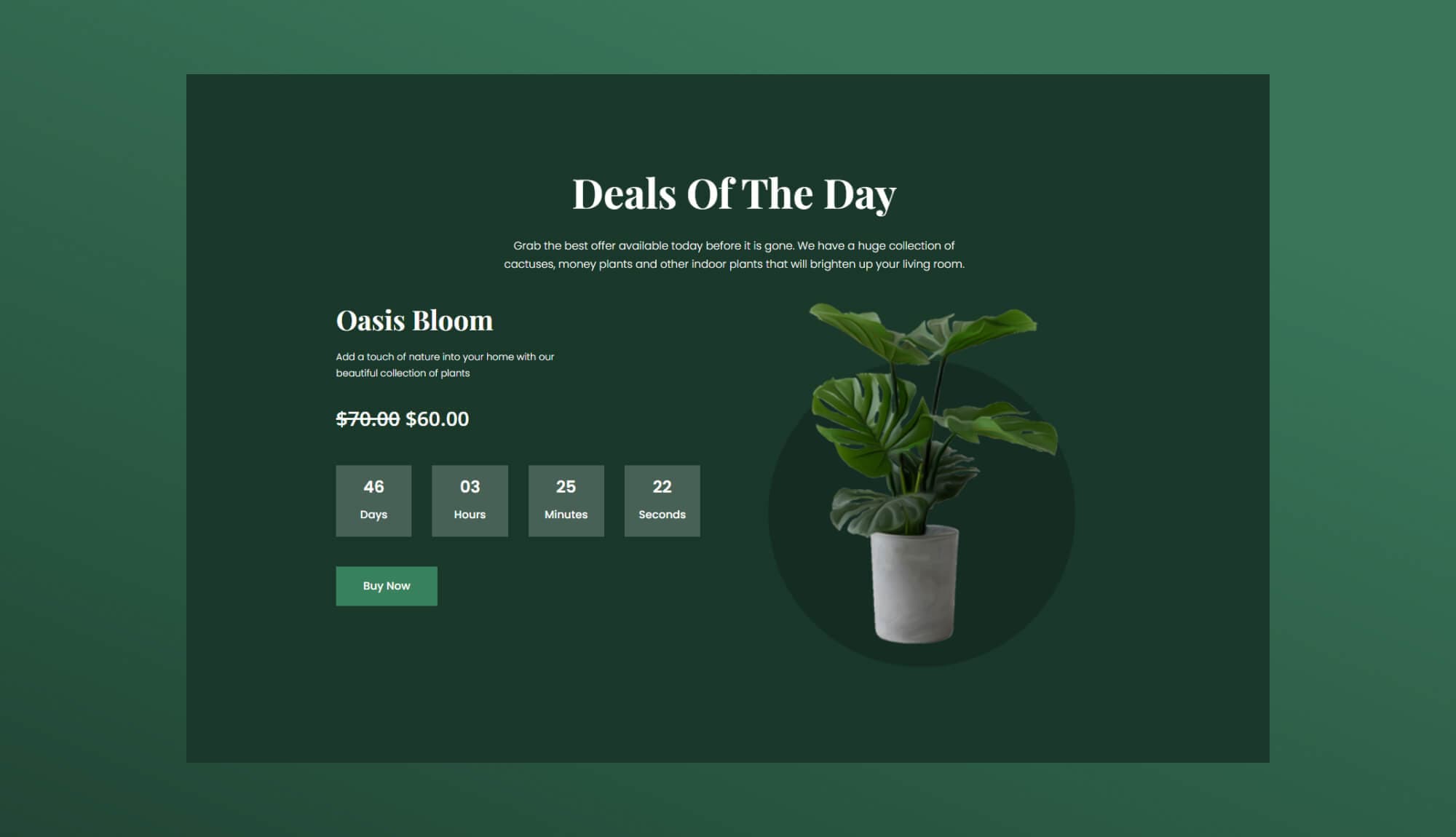 Greenzone Deals Section For Gutenberg Banner