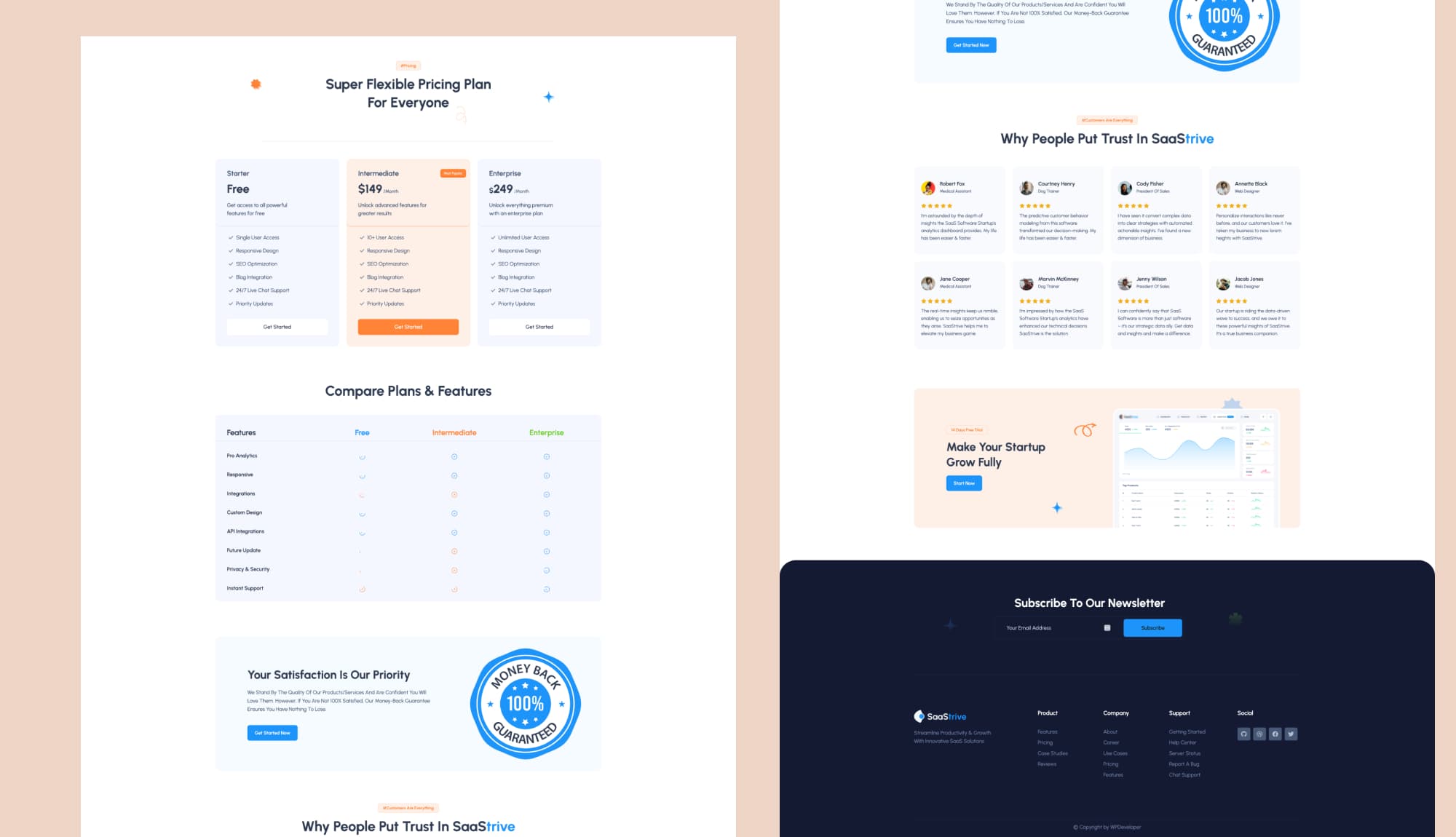 SaaStrive Pricing Page Banner