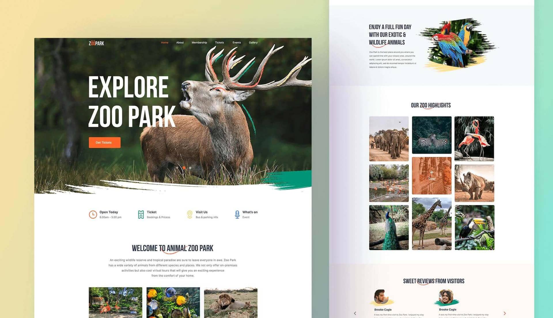 Zoo Park Home Page By Templately