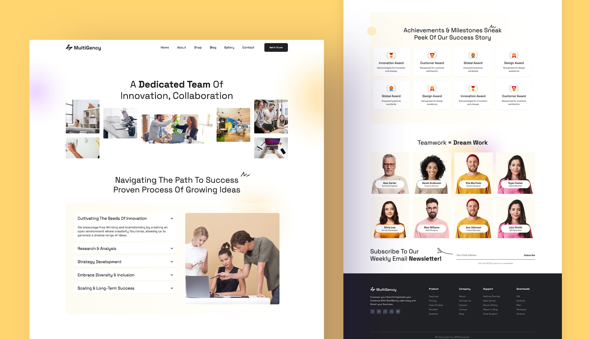 MultiGency About Us Page For Gutenberg Banner