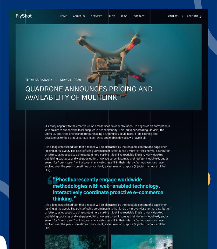 FlyShot Single Post Page thumbnail