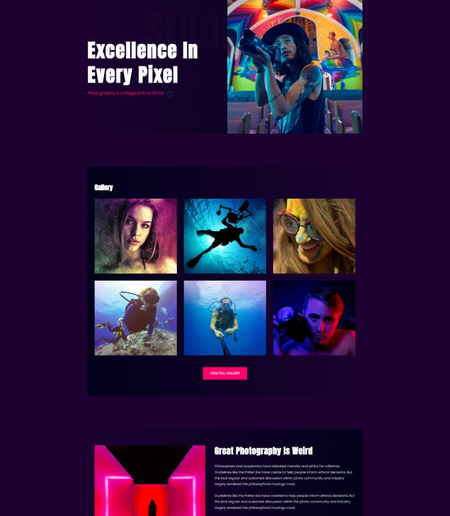 PhotoSpark Home Page For Gutenberg thumbnail