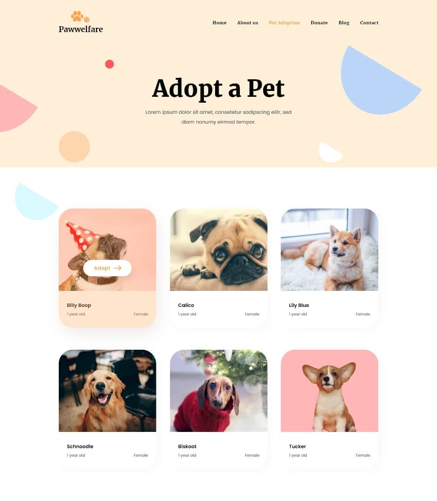 Pawwelfare Adopt a Pet Page thumbnail