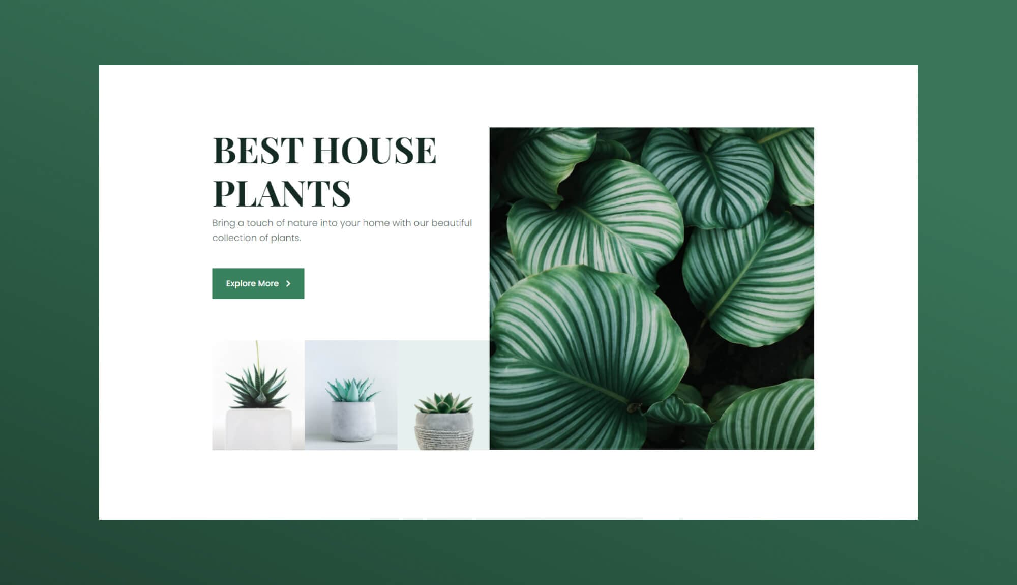 Greenzone Hero Section For Gutenberg Banner