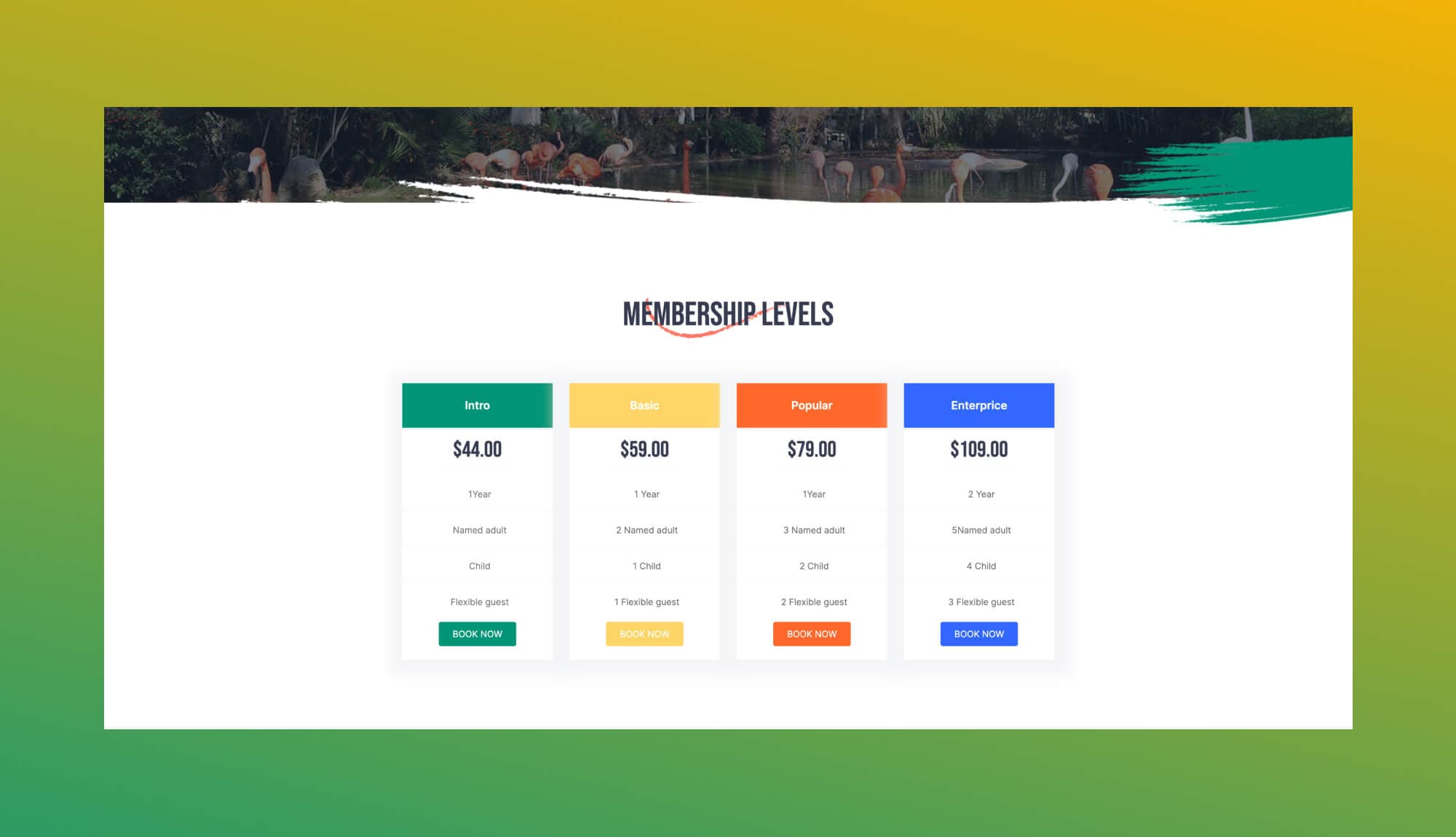 Zoo Park Pricing Section For Gutenberg Banner
