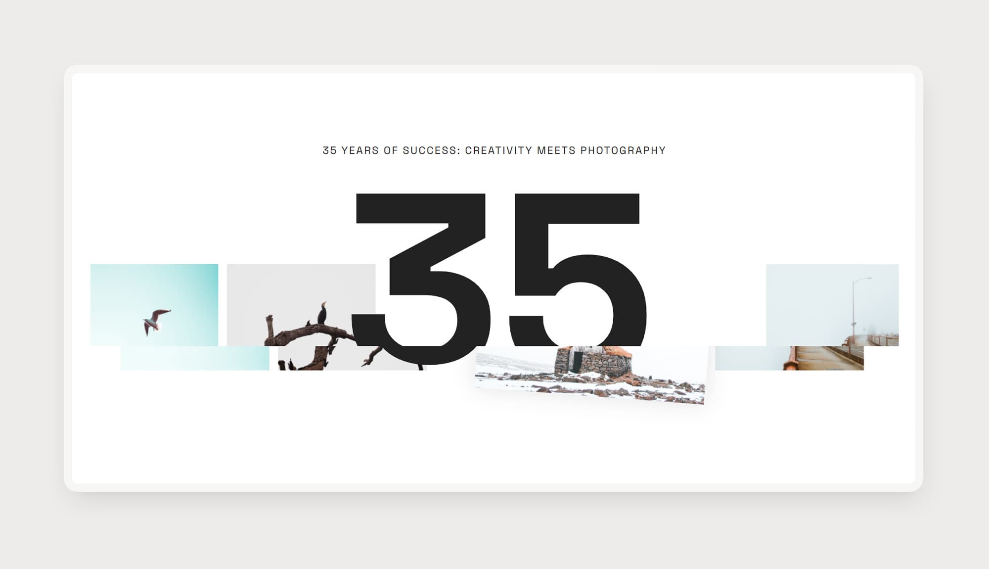 LensLy Interactive Section Banner