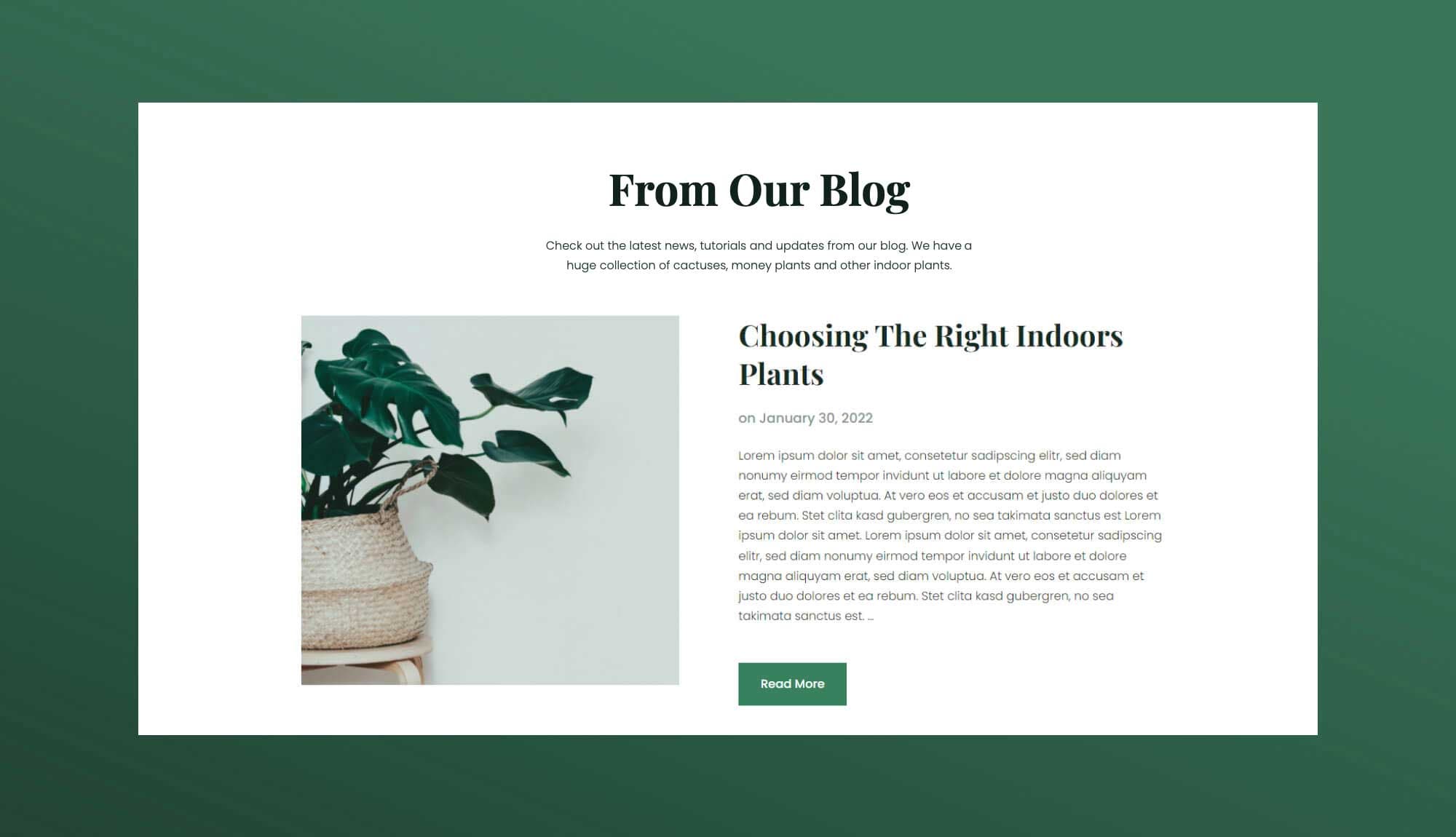 Greenzone Blog Section For Gutenberg Banner
