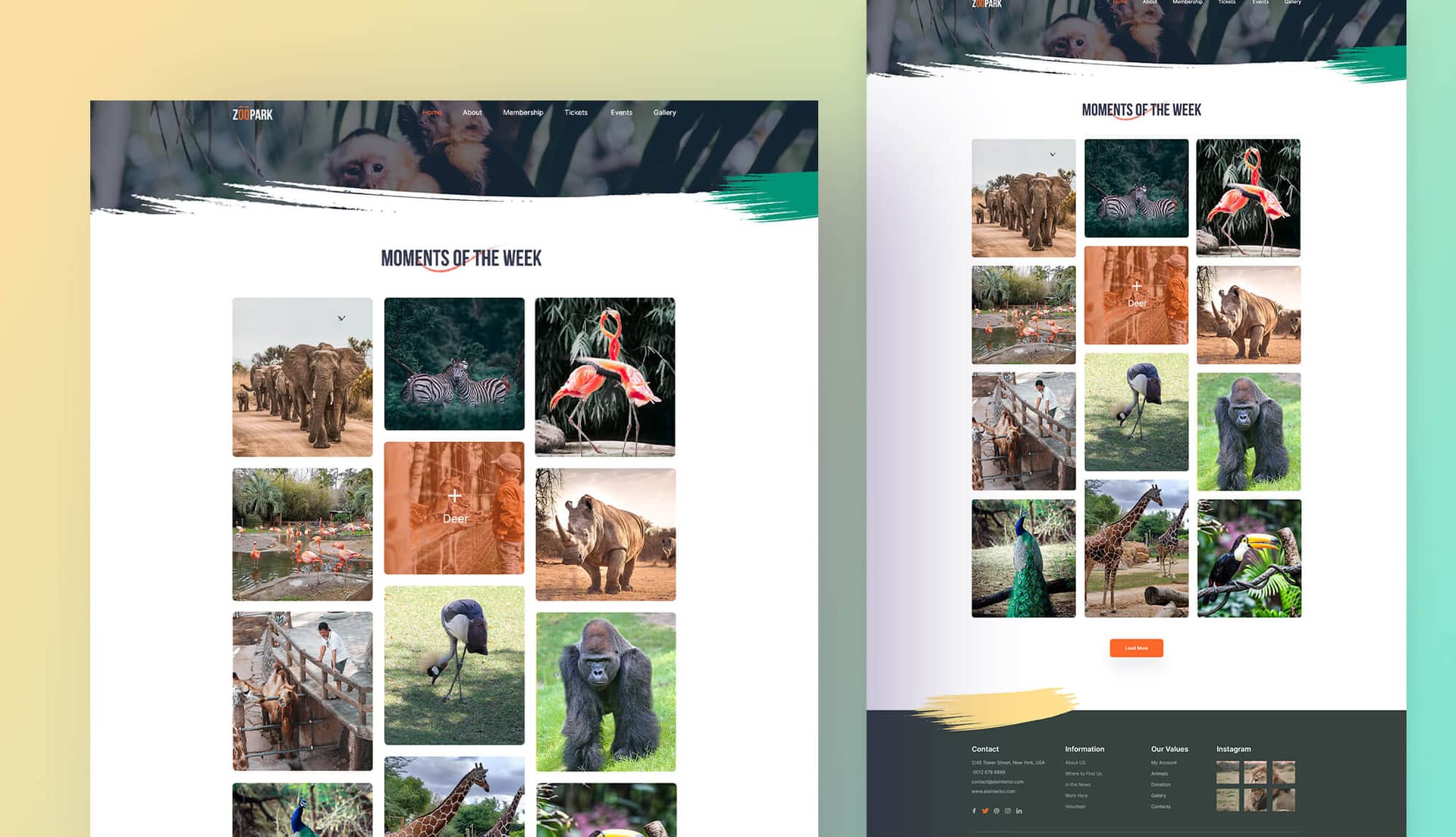 Zoo Park Gallery Page By Templately