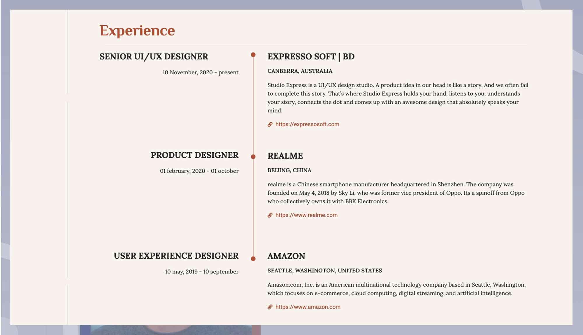 CV Yoda Experience Section Banner