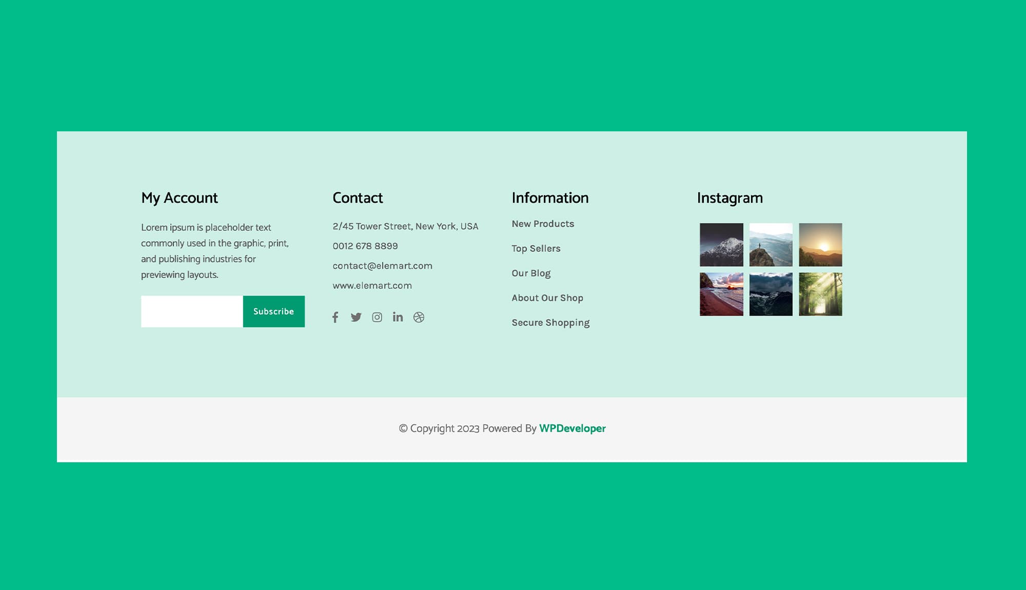 EleMart Footer Green Section For Gutenberg Banner