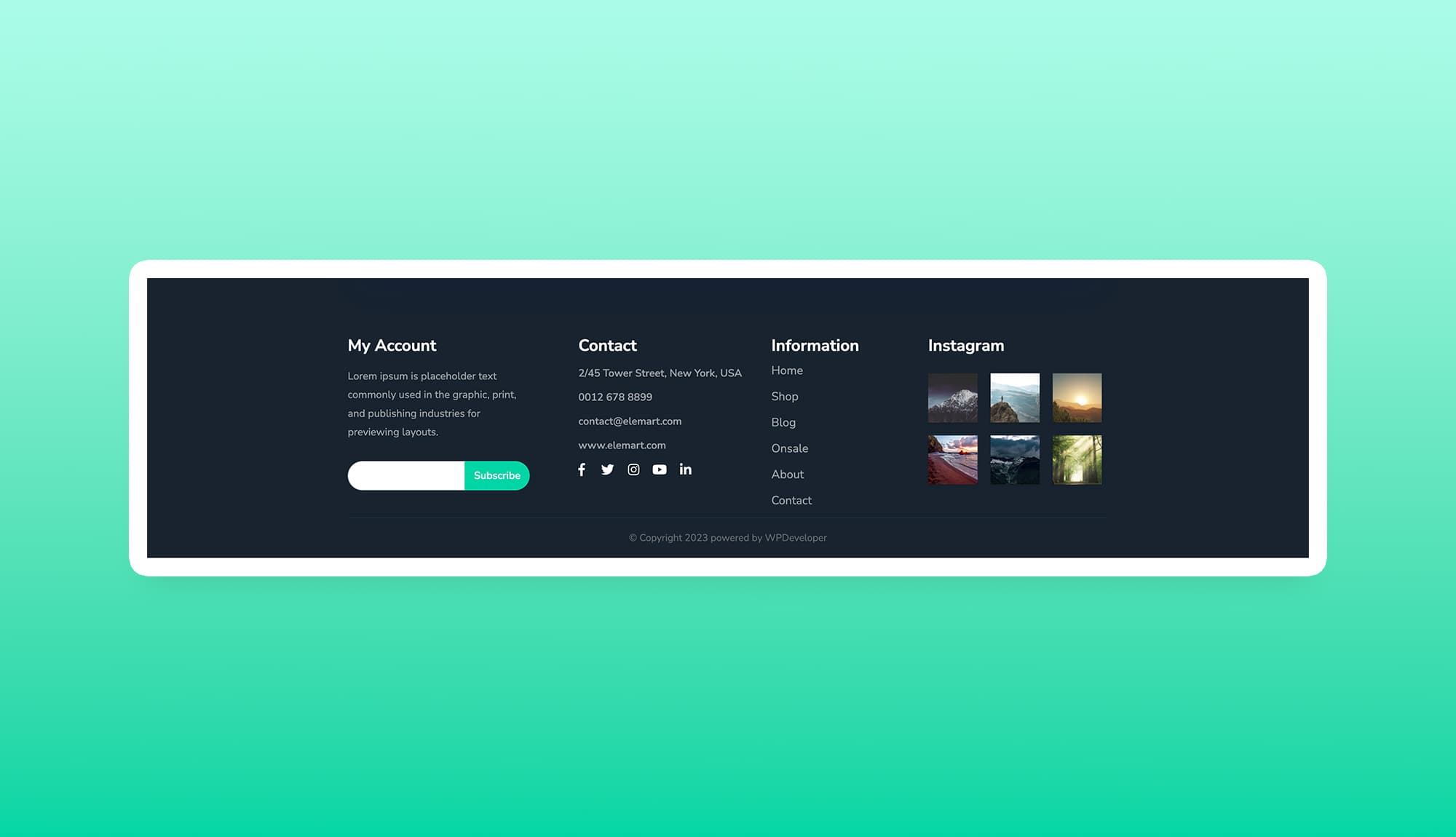 ElePharma Footer Section For Gutenberg Banner