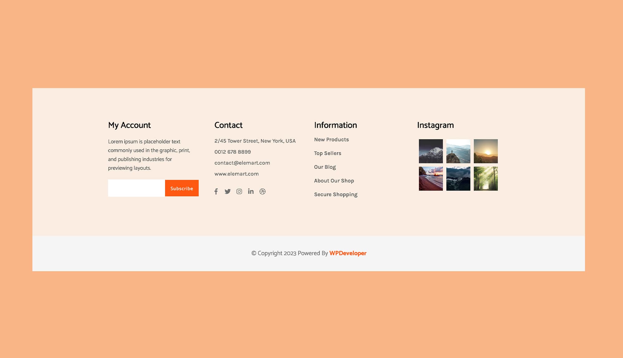 EleMart Footer Orange Section For Gutenberg Banner
