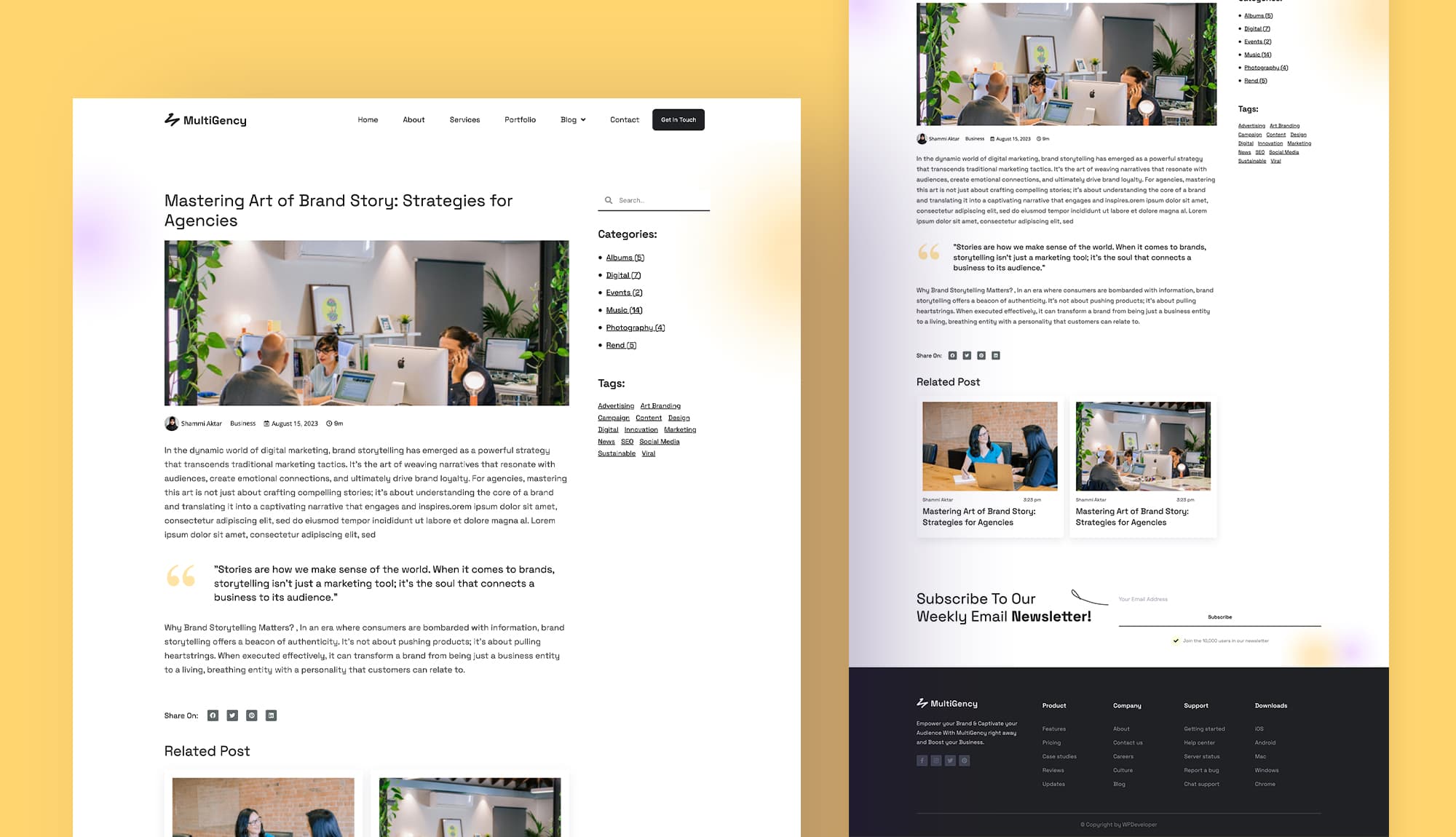 MultiGency Single Post Page Banner