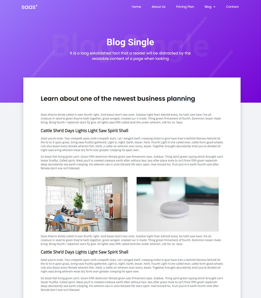SaaS Starter Blog Details Page thumbnail
