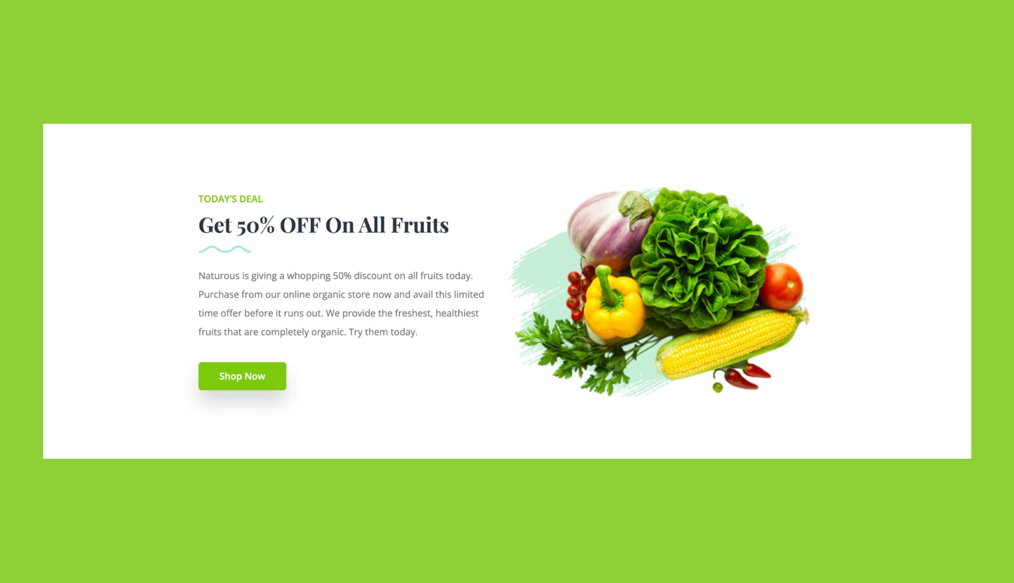 Naturous CTA Section For Gutenberg Banner