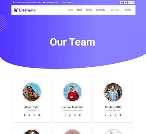 Bizzmate Agency Team Page thumbnail