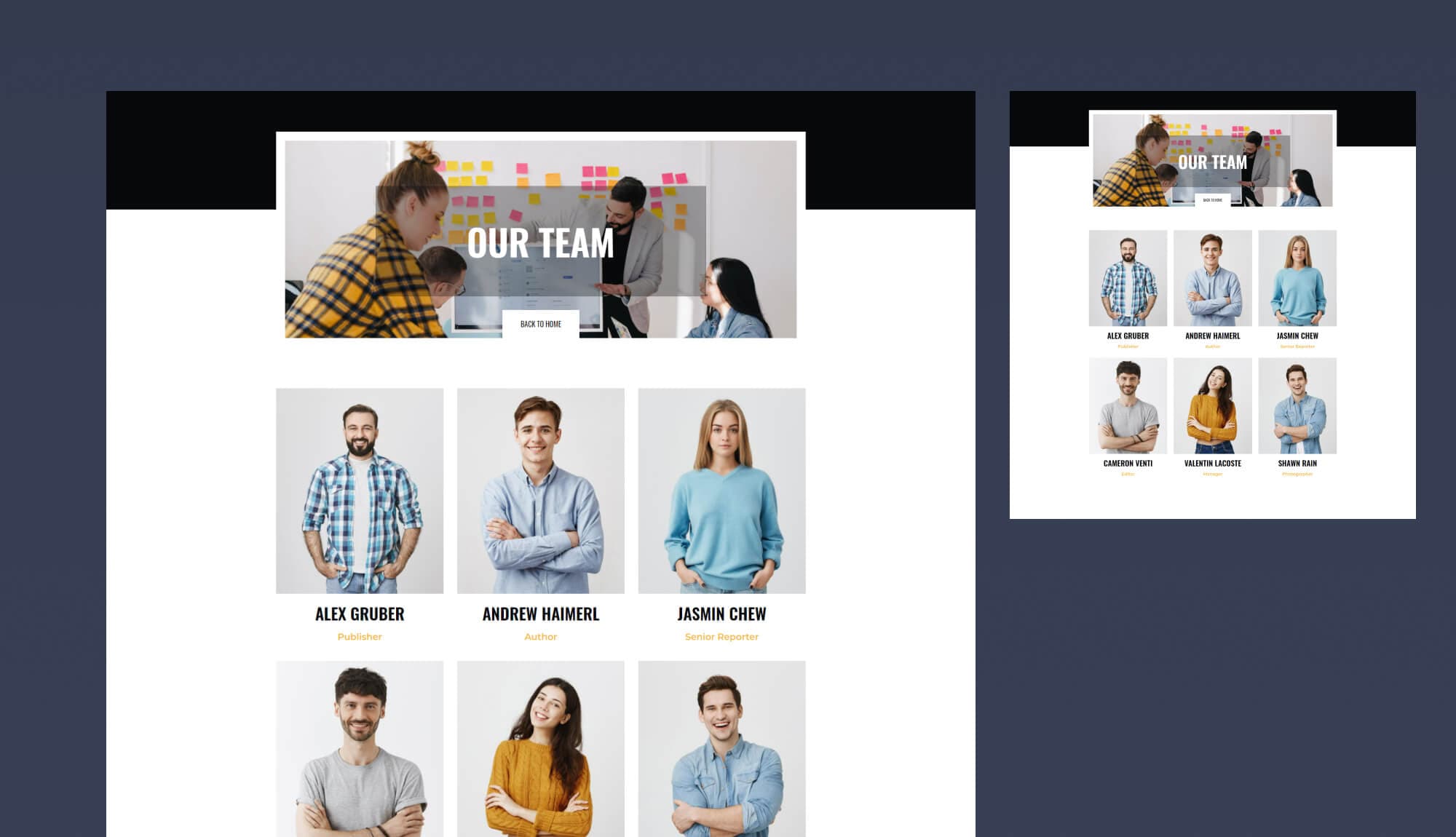 GameInfo Team Page For Gutenberg By Templately