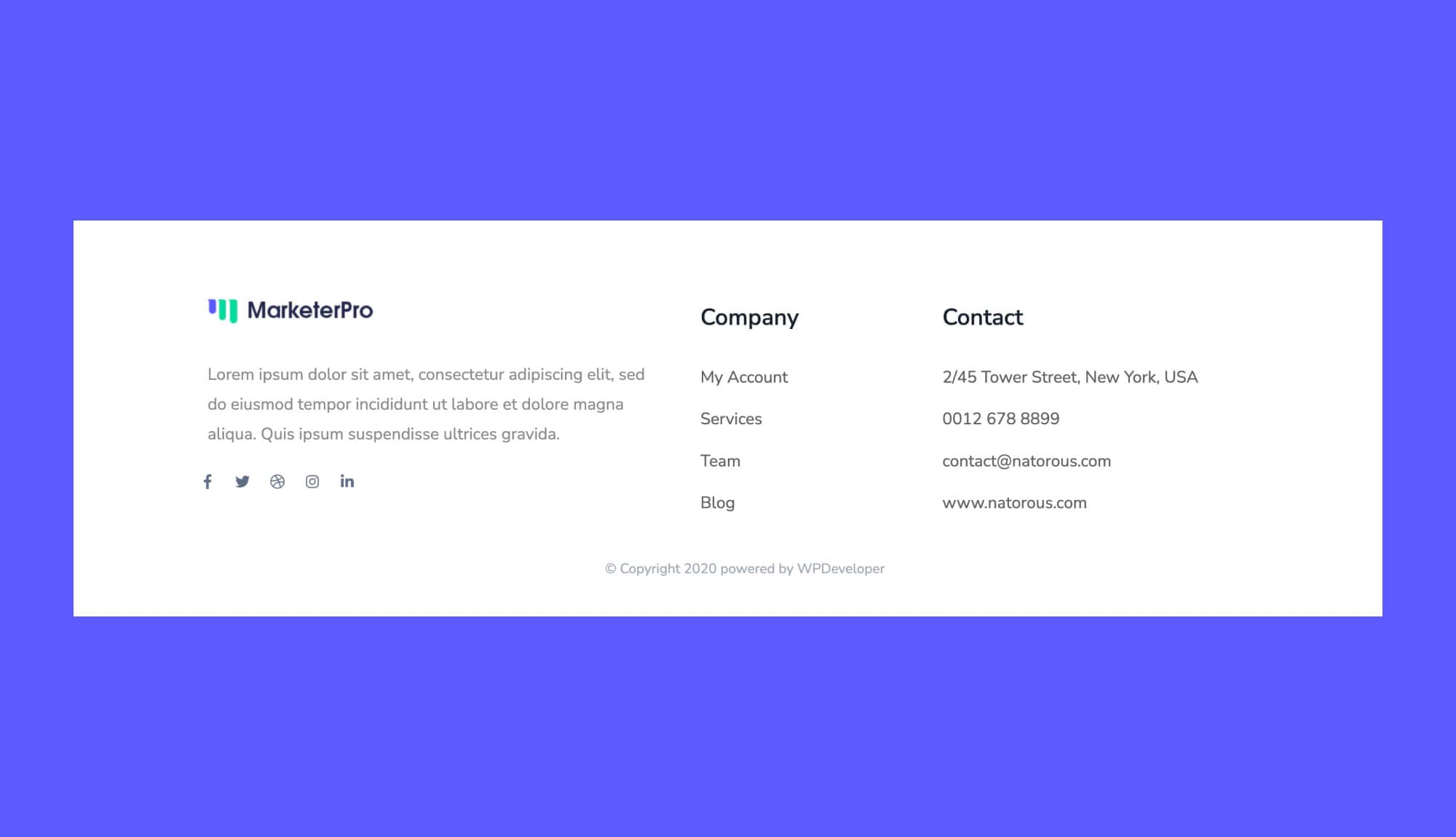 MarketerPro Footer Section For Gutenberg Banner
