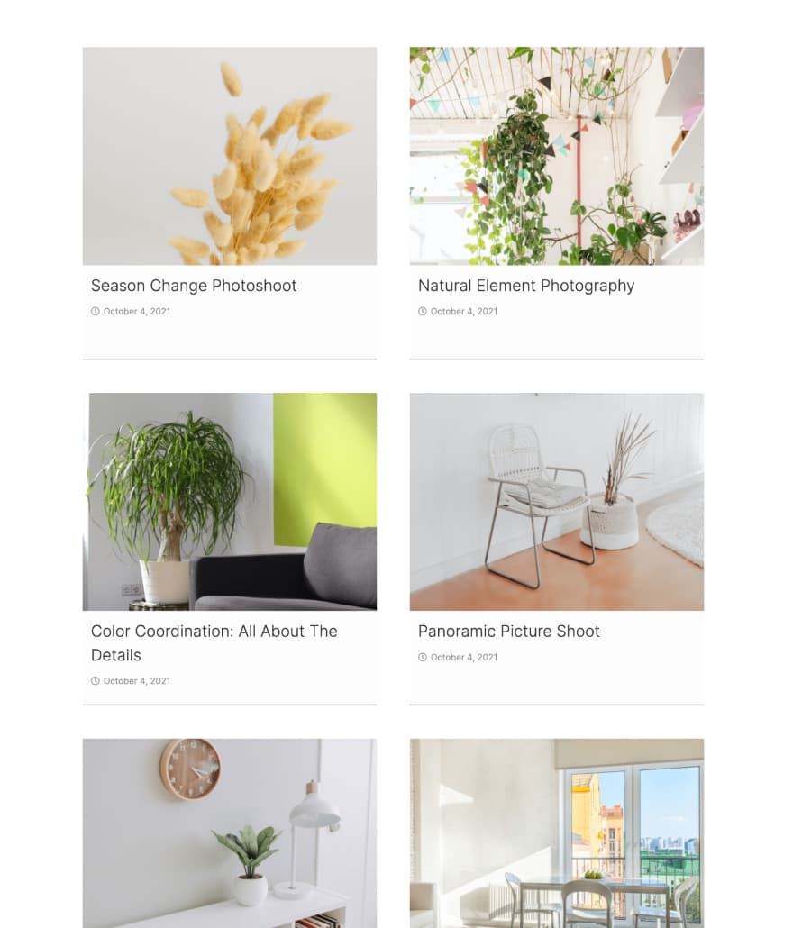 Snapcatch Projects Section thumbnail