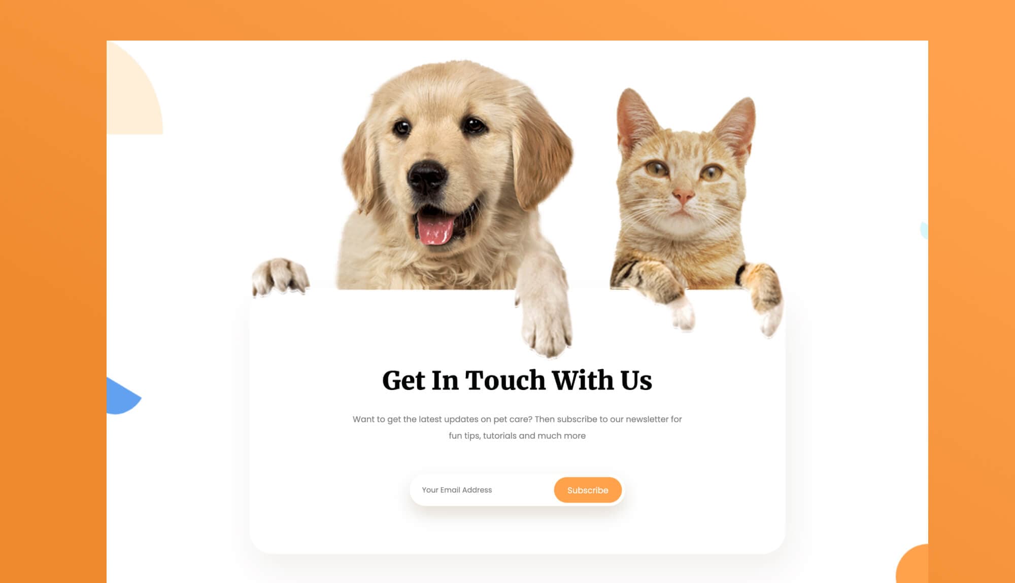 Pawwelfare Subscription Section For Gutenberg Banner
