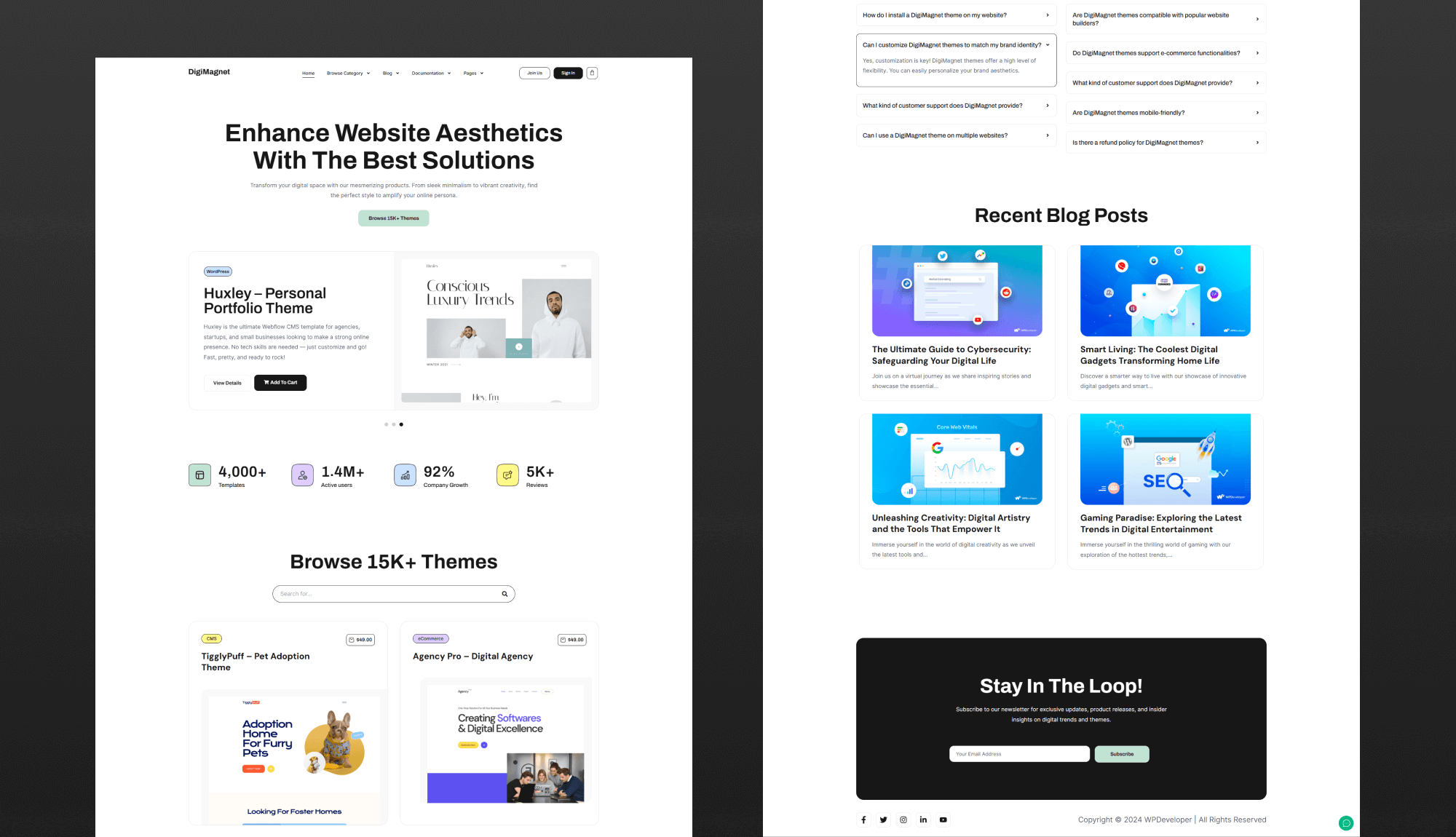 DigiMagnet Home Page Banner
