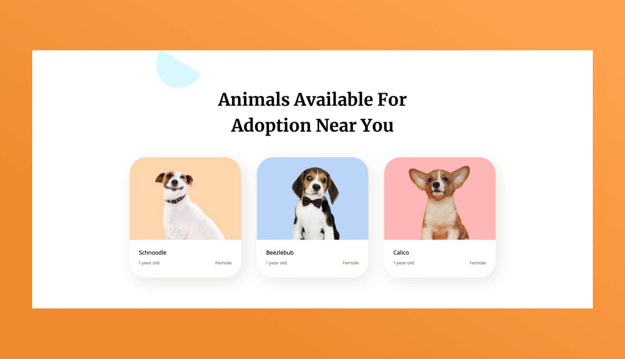 Pawwelfare Available Animals section For Gutenberg Banner