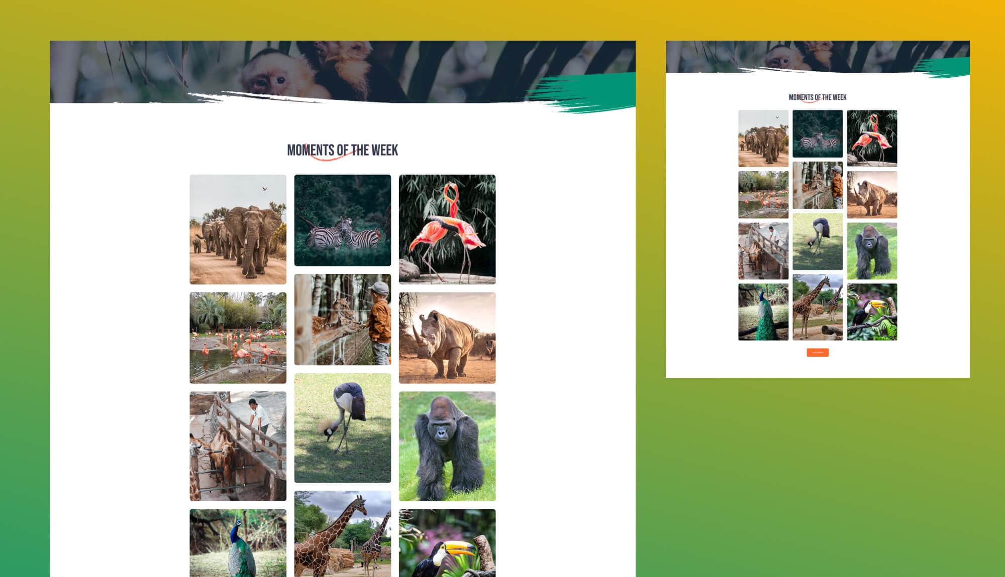 Zoo Park Gallery Page For Gutenberg Banner