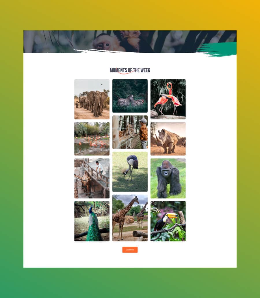 Zoo Park Gallery Page For Gutenberg thumbnail