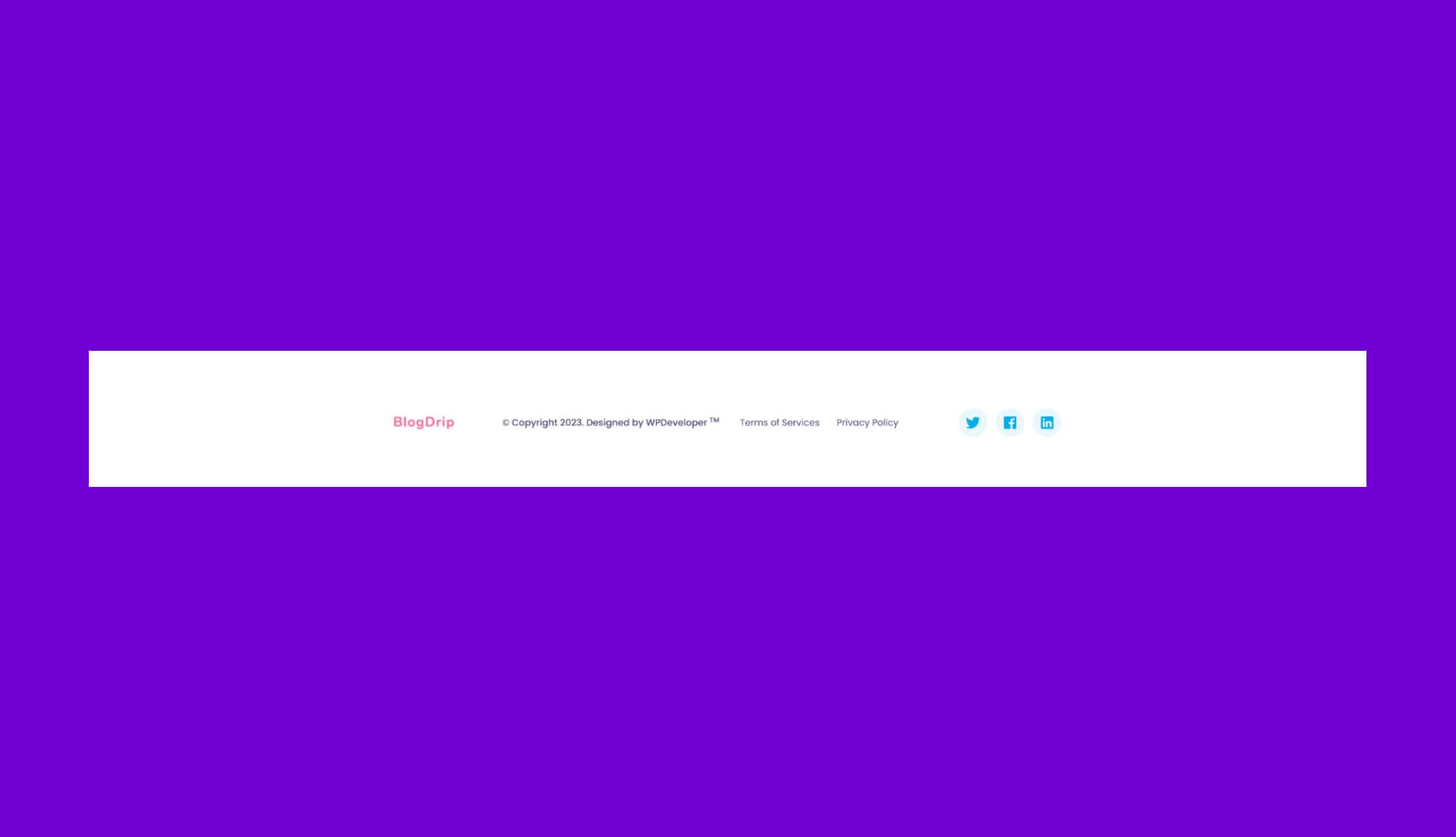 BlogDrip Footer Section For Gutenberg Banner