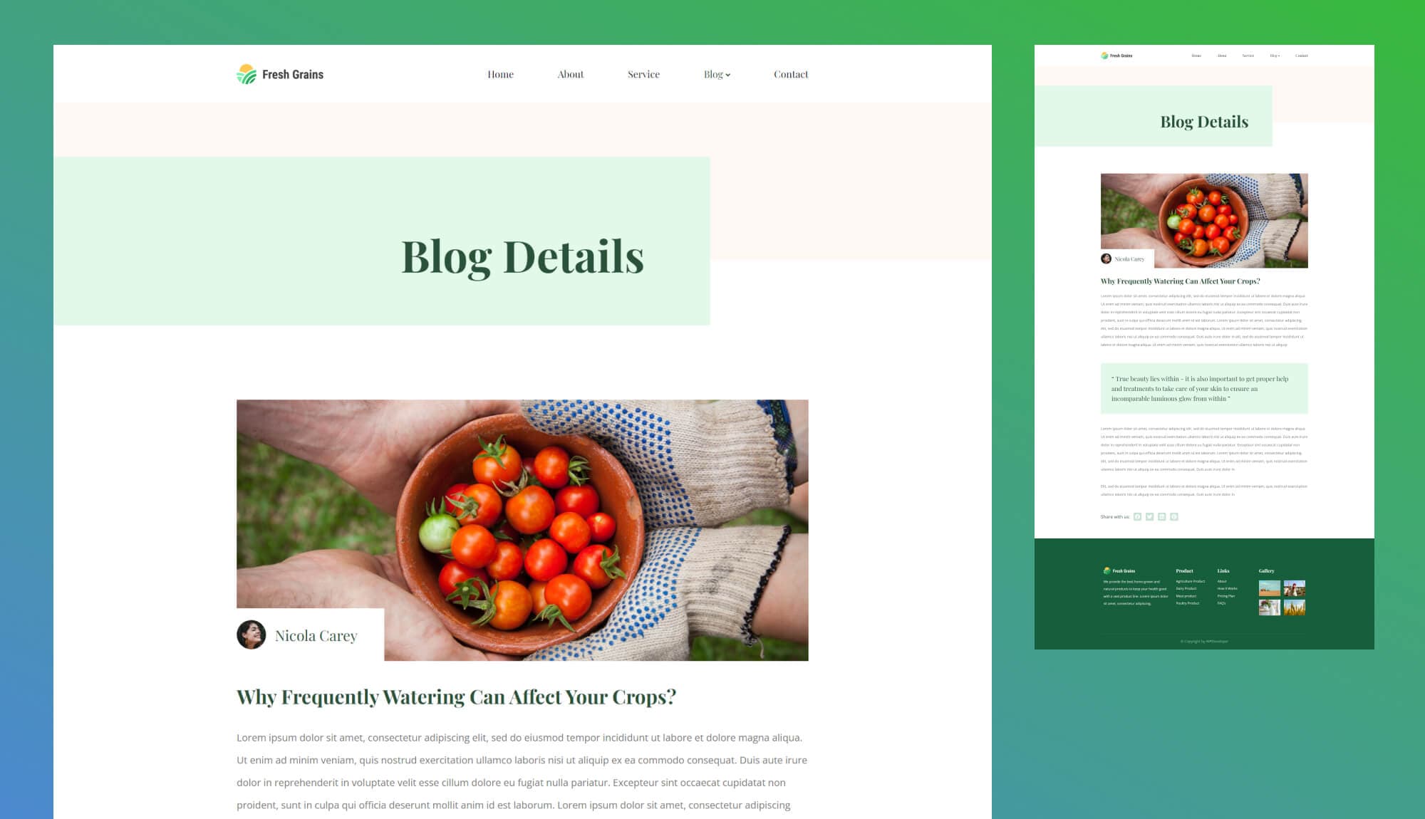 Fresh Grains Single Post Page Banner