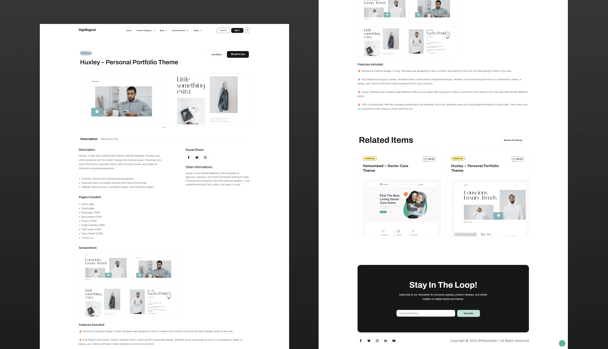 DigiMagnet Product Details Page Banner