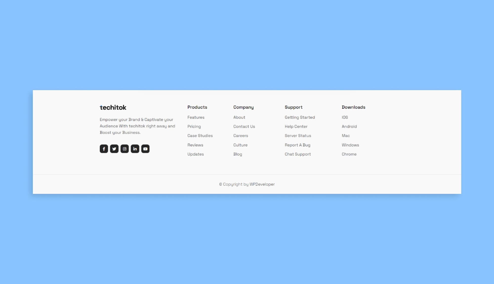 Techitok Footer Section For Gutenberg Banner