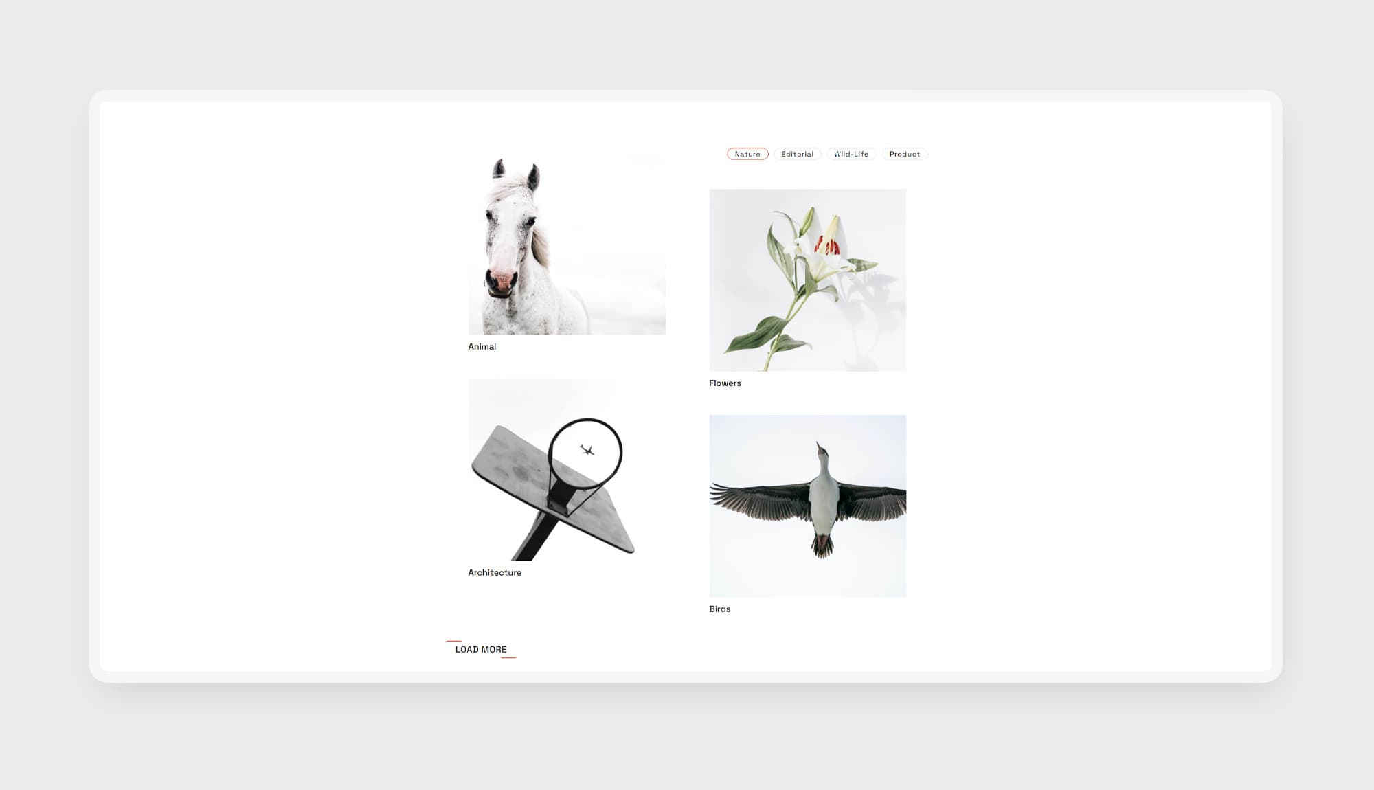 LensLy Gallery Section Banner