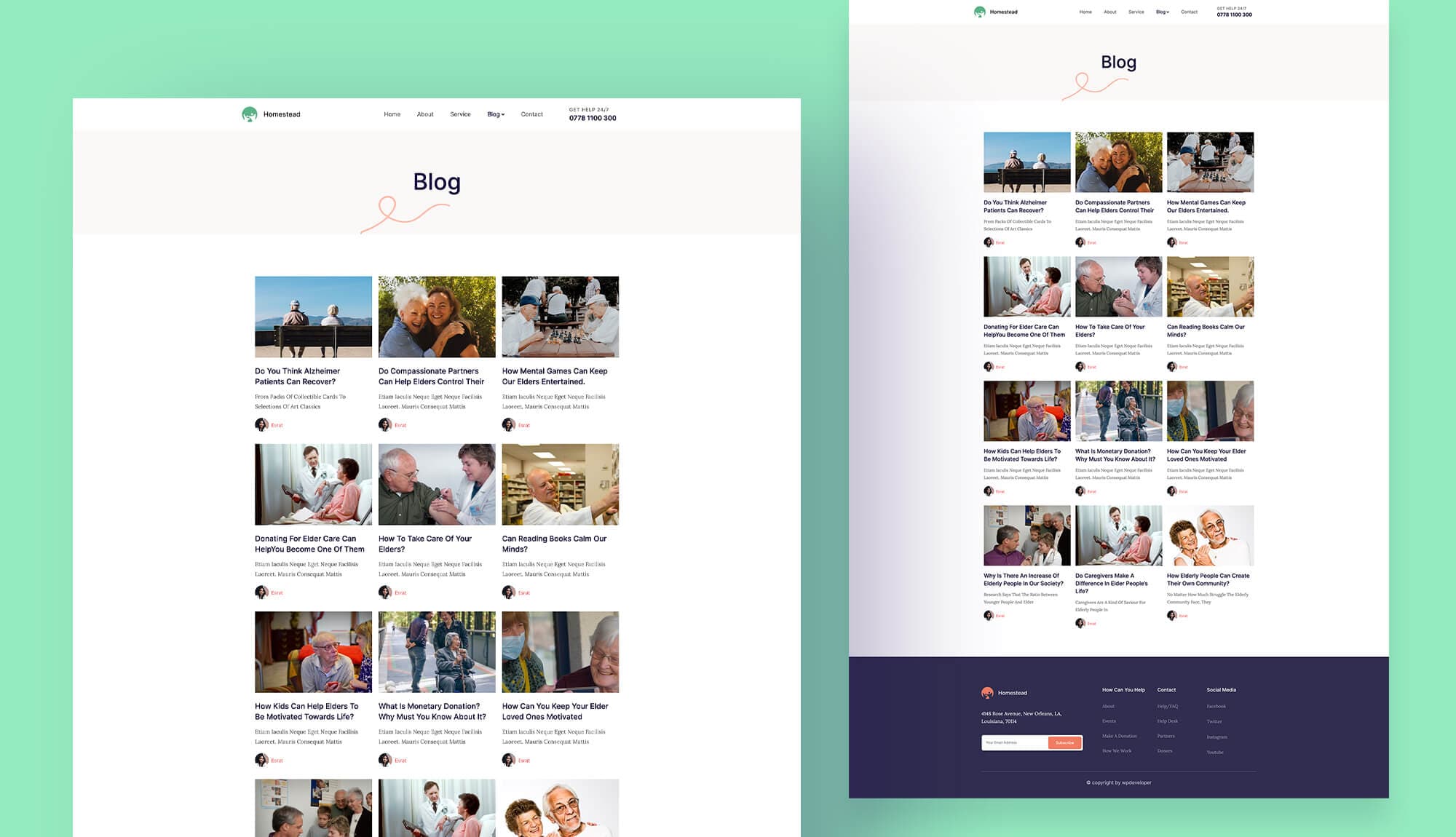 Homestead Blog Page For Gutenberg Banner