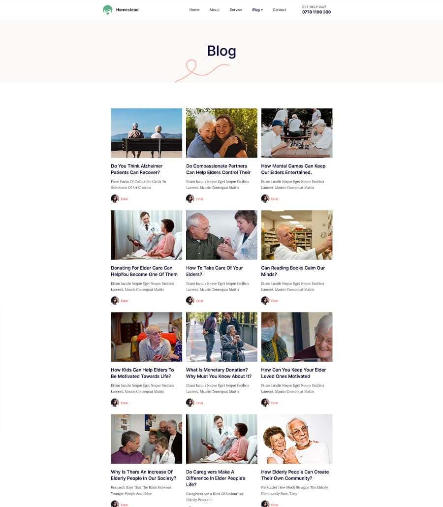 Homestead Blog Page For Gutenberg thumbnail