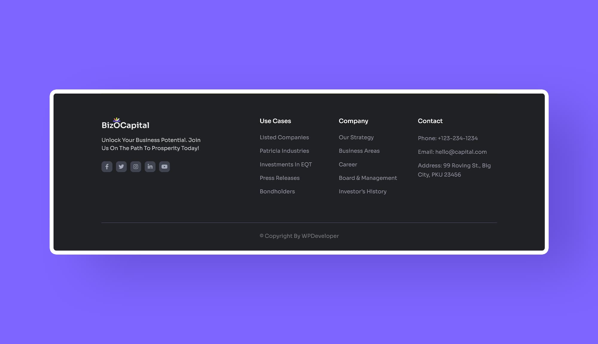 BizOCapital Footer Section Banner