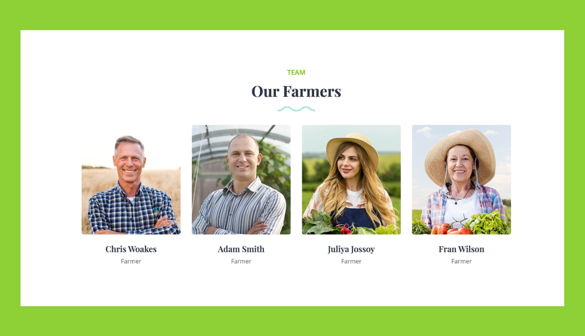 Naturous Team Section For Gutenberg Banner