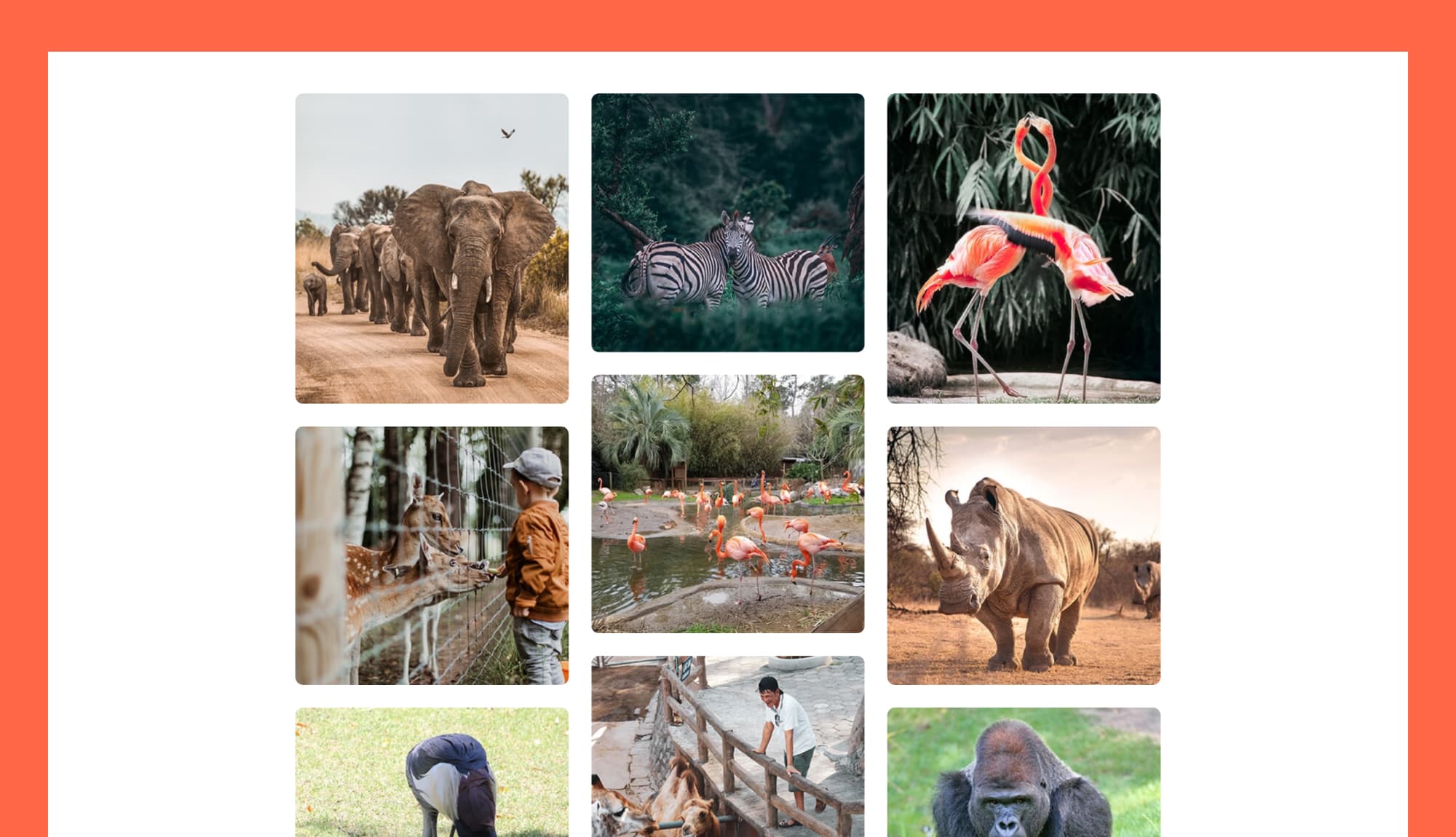 Zoo Park Gallery Section Banner