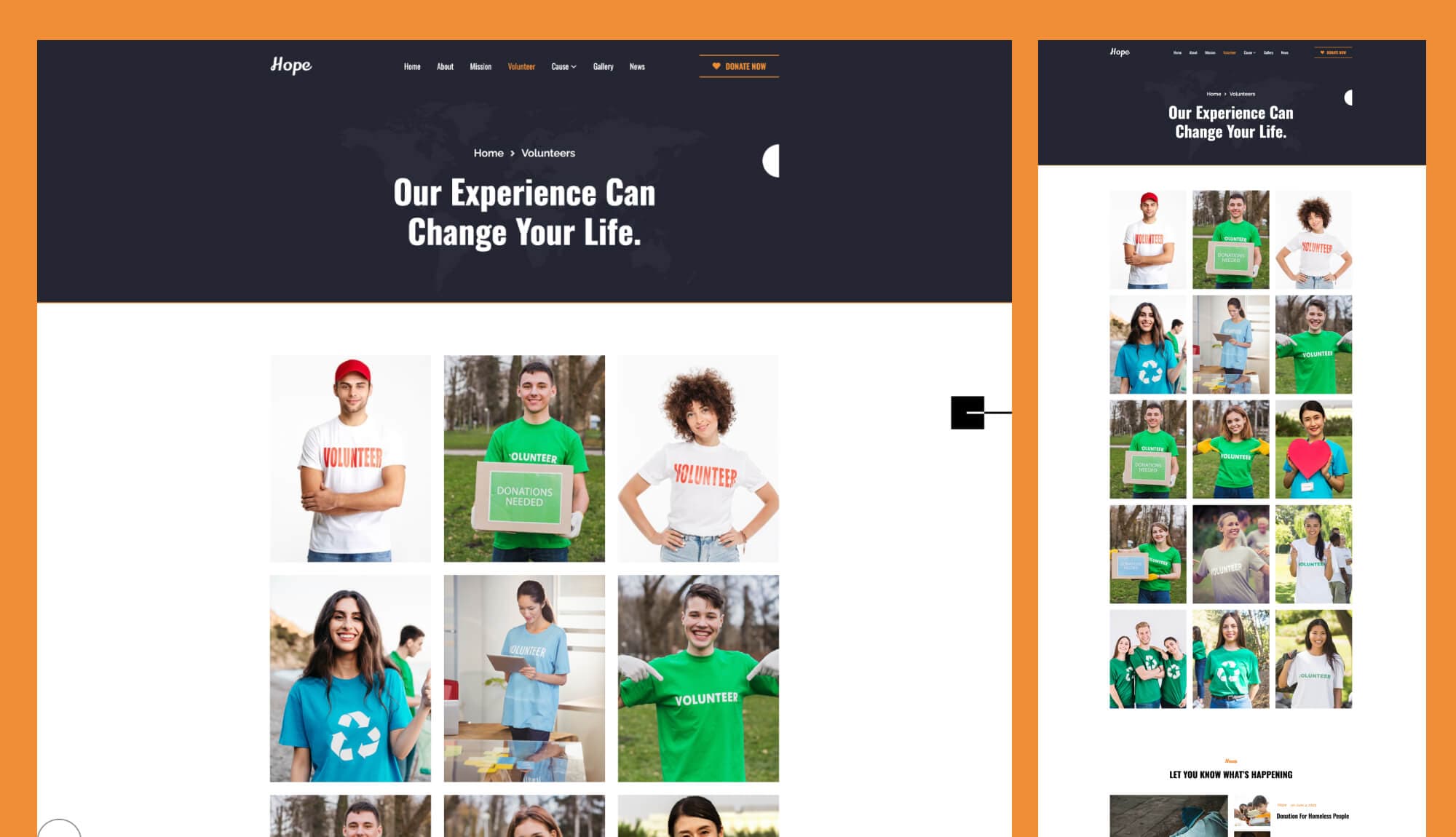 Hope Volunteer Page For Gutenberg Banner