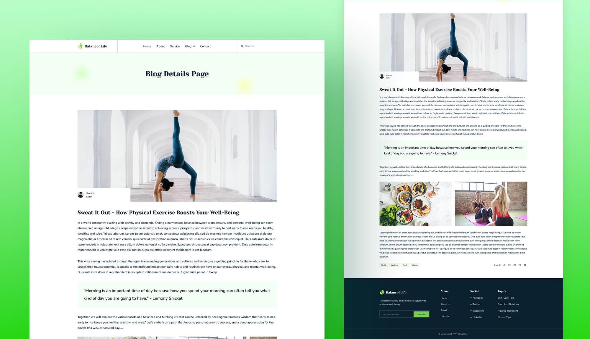BalancedLife Single Post Page By Templately
