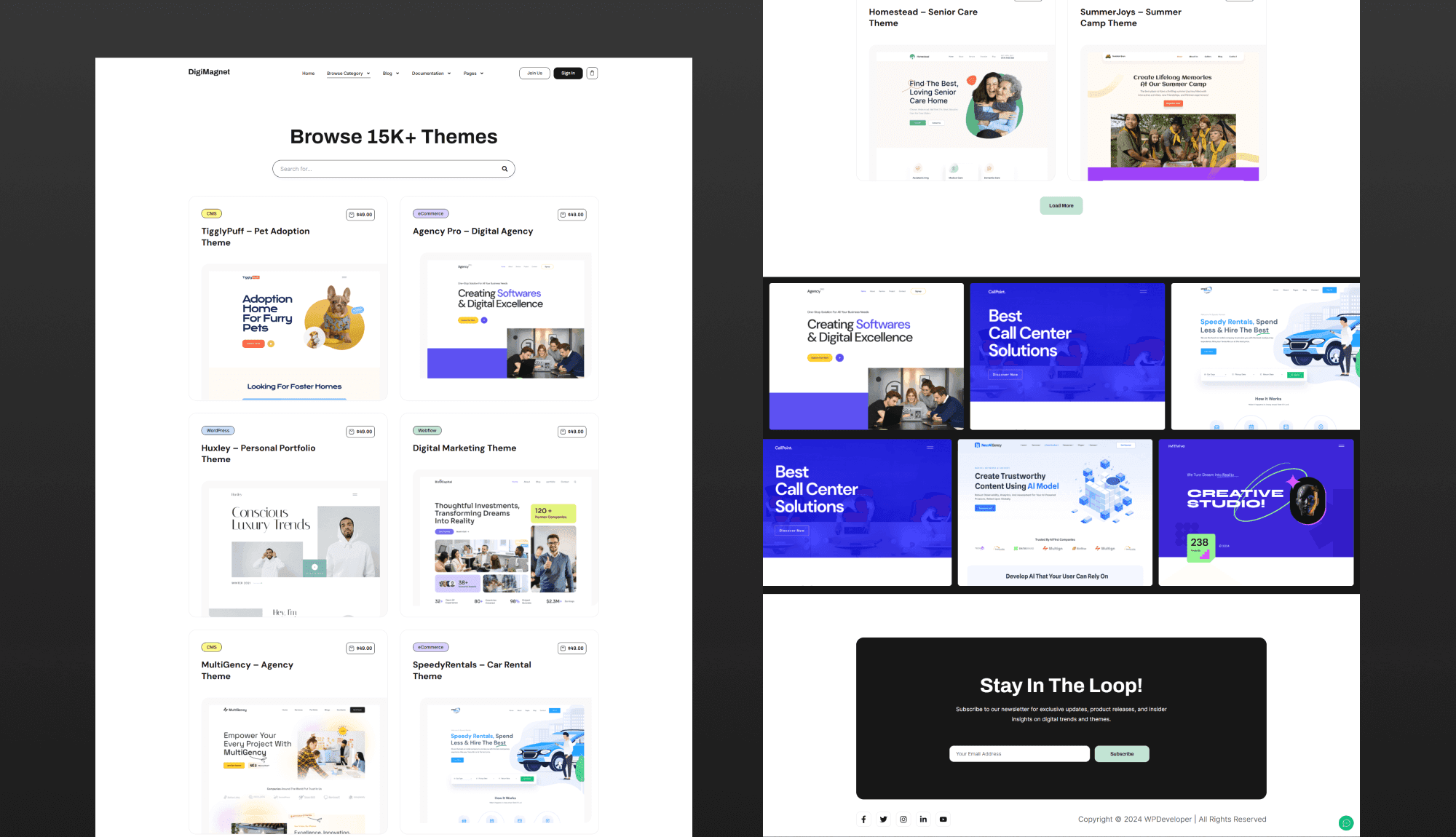 DigiMagnet Shop Page Banner