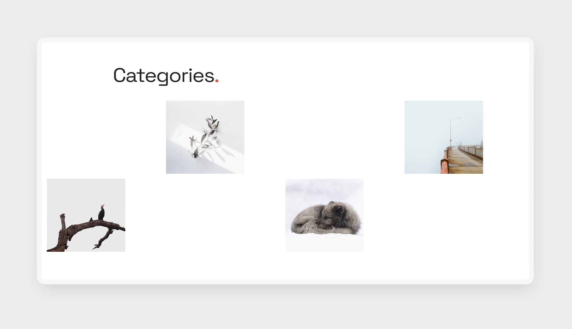 LensLy Photography Category Section For Gutenberg By Templately
