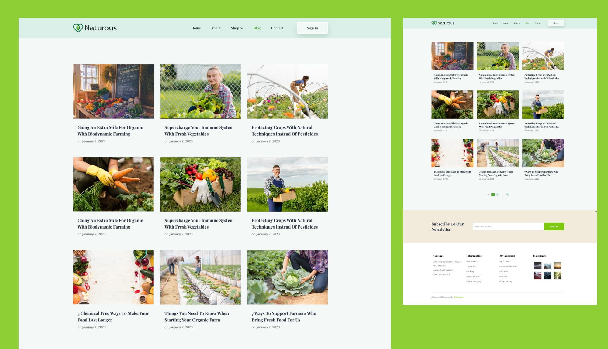 Naturous Blog Page For Gutenberg Banner